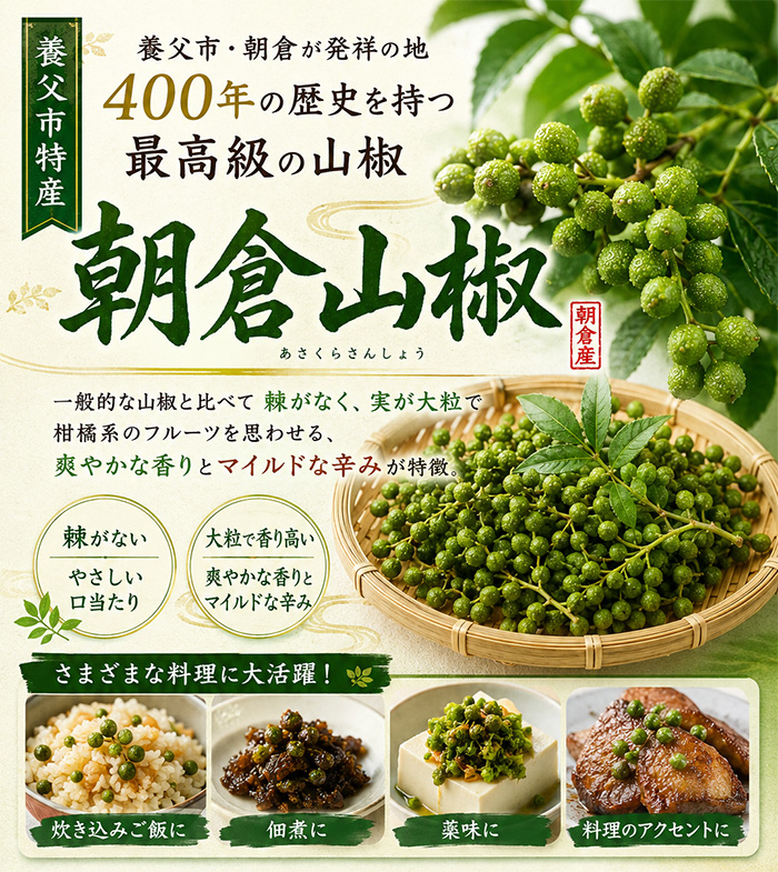 養父市特産 朝倉山椒 約500g 冷凍 あく抜き済み