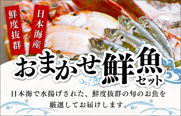 おまかせ鮮魚セット