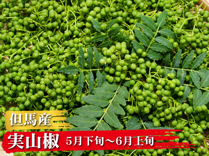 粉山椒確認㌻② 青森県産 山椒の実 - 野菜