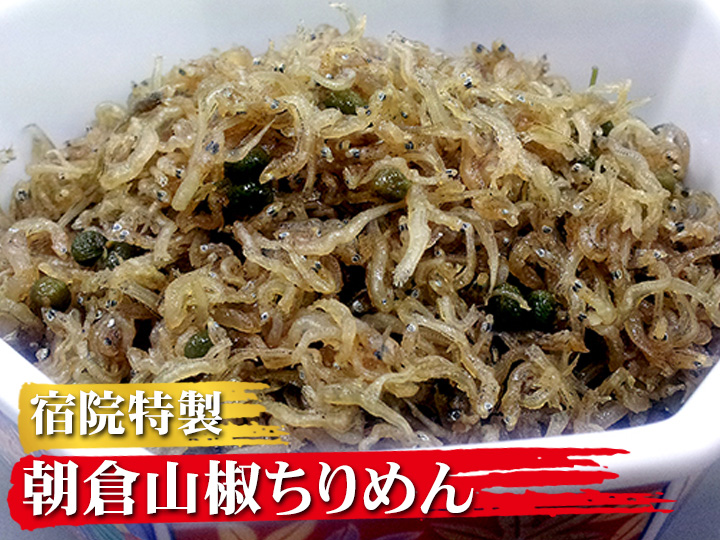 人気激安 朝倉山椒 ちりめん 70g 【クロネコゆうパケット対応】 文学・小説